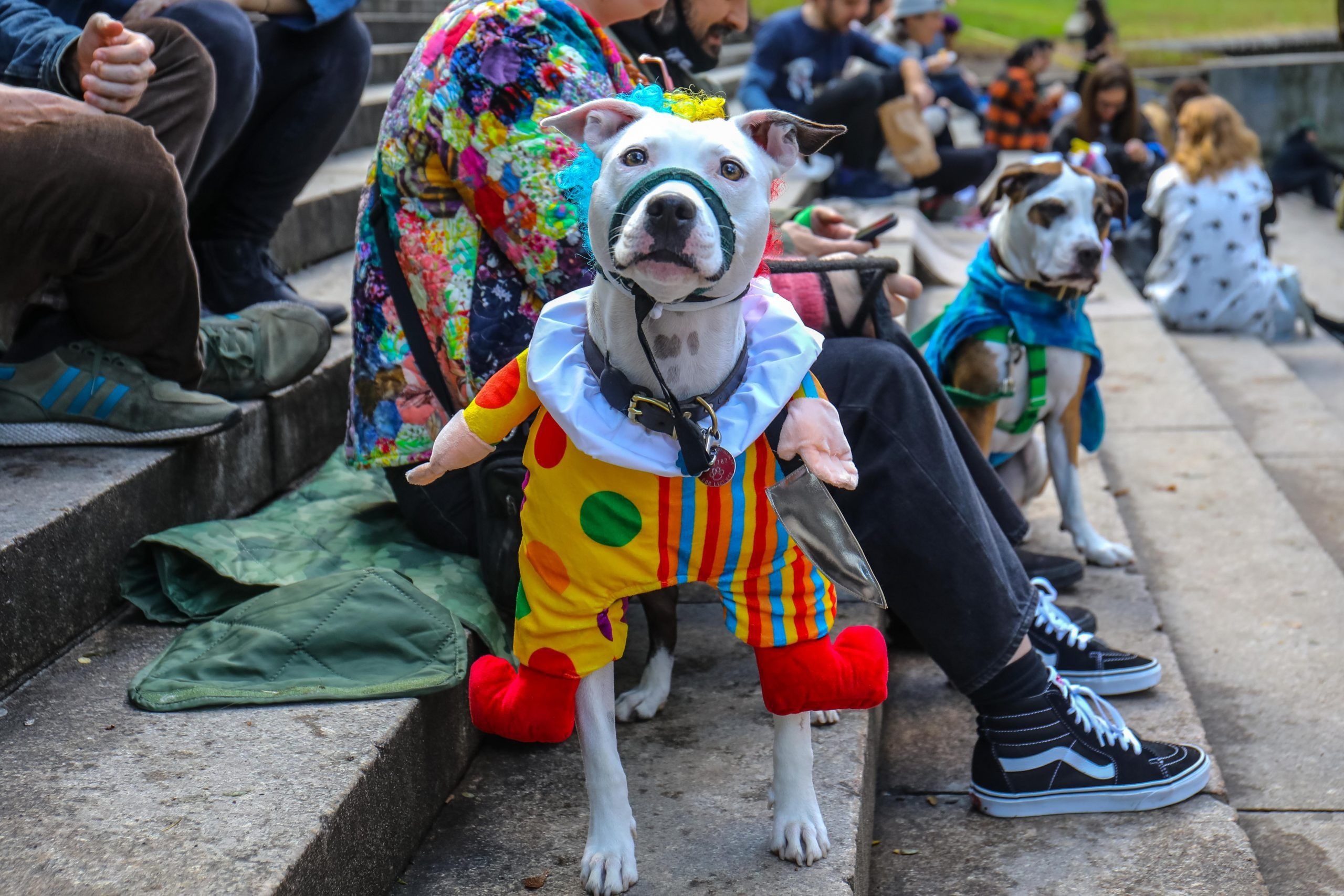great pupkin costume contest things to do nyc.jpeg
