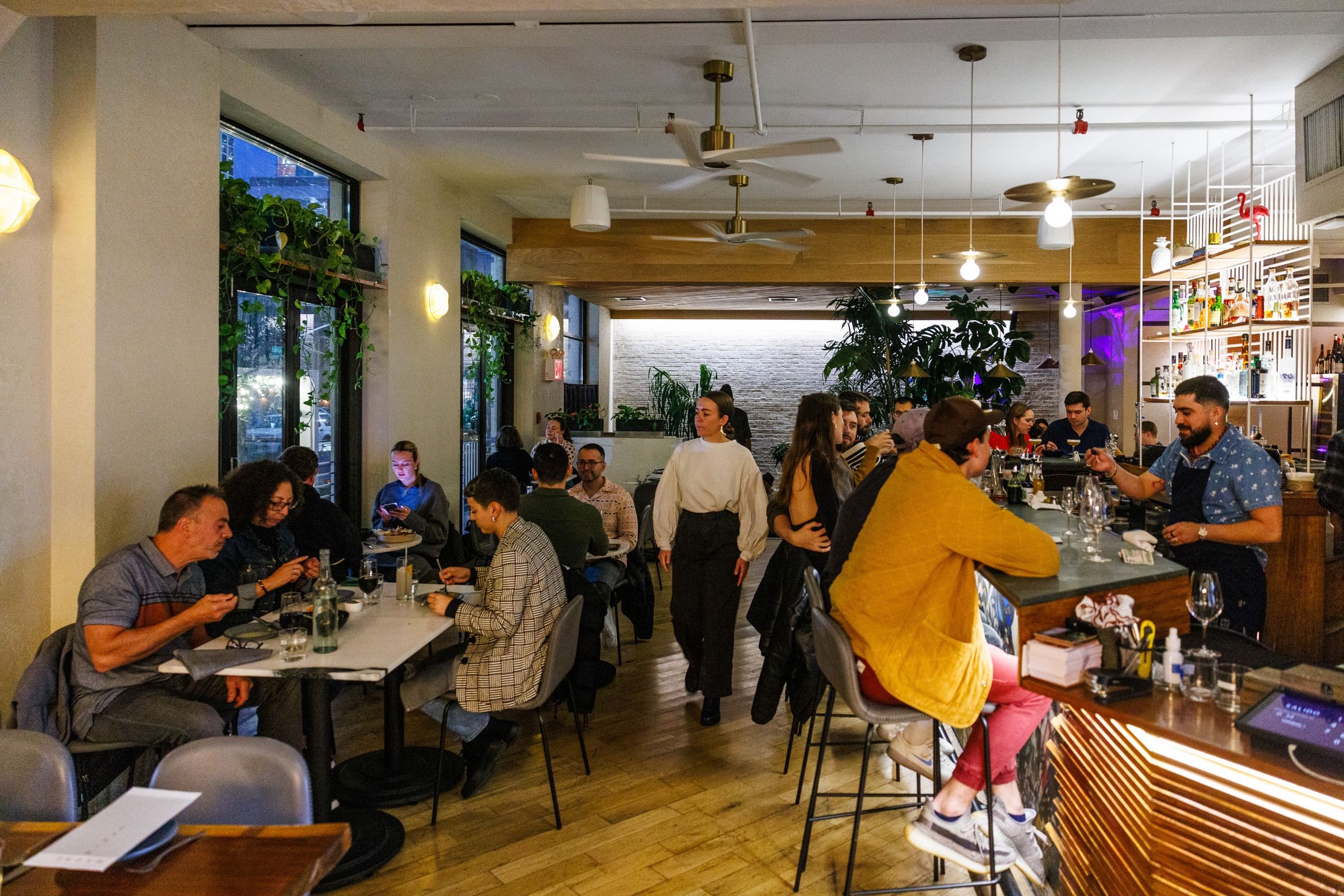 madre block party.jpeg