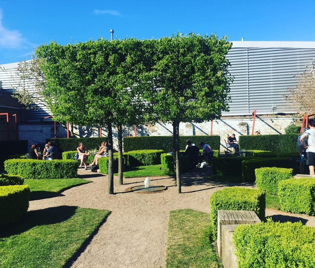 the dolphin sydenham